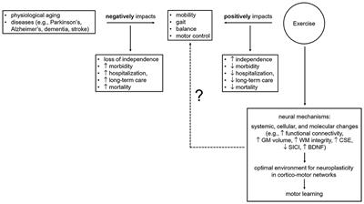 Current Methodological Pitfalls and Caveats in the Assessment of Exercise-Induced Changes in Peripheral Brain-Derived Neurotrophic Factor: How Result Reproducibility Can Be Improved